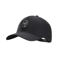 ArcTeryx Bird Patch Cap