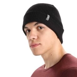 Icebreaker Merino Feadan Slouch Beanie