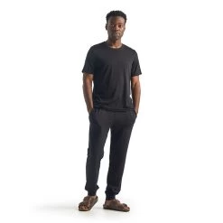 Icebreaker Shifter Mens Pants - Black