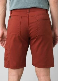 PrAna Stretch Zion Mens Shorts 10 Inseam -Outdoor Sport Store prAna Stretch Zion Shorts 10 Inseam Maple Back 909231
